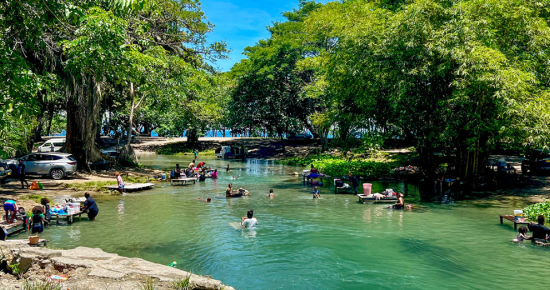 Neglected Tropical Diseases Day: global progress and regional action toward elimination