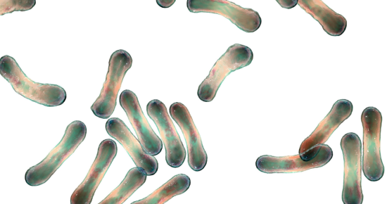 Australia is battling its worst diphtheria outbreak in decades. But vaccines could curb it